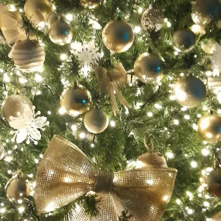 Urban -1floor Apartment